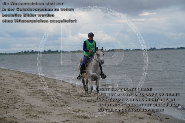 s_K3F04937.JPG
